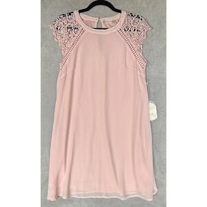 Altar'd State Dress Womens Small Ballet Pink‎ Lace Angelic Ethereal Coquette NWT